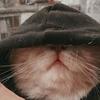leonardo aviles - @leonardo.aviles55 - TikTok