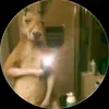 Leonardo bello - @leonardo.bello49 - TikTok