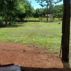 Leonardo Benitez - Facebook