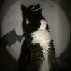 Leonardo Benitez - @leonardo.benitez65 - TikTok