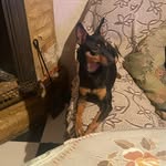 Leonardo Bustos - @leonardobustos789 - Instagram