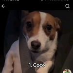 Leonardo Carreon - @theoneandonly__230 - Instagram