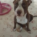 Leonardo Chan - Facebook