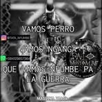 Leonardo Colin - Facebook