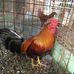 Leonardo Espinal - Facebook