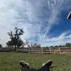 Leonardo.Estrella - @leonardo.estre - TikTok