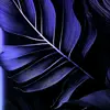 Leonardo Holguin - @leonardo.holguin79 - TikTok