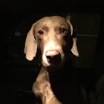 Leonardo Hunter Turley - @_lazy.leo_ - Instagram