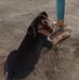 Leonardo Ledesma - Facebook