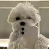 leonardomaya - @leonardomaya - TikTok