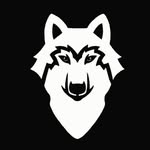 leonardo pretel violin - @lviolinknife - Instagram
