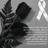 Leonardo Rosas - @leonardo.rosas04 - TikTok