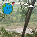 Leonardo Saavedra - Facebook