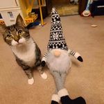 Leonardo Smith - @newwavenardo - Instagram