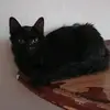 jazmín 😘 - @leonardotoro2 - TikTok