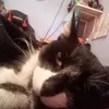 Leonardo Toro - @leonardo.toro89 - TikTok