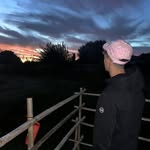 @leonardo_toro_ - Instagram