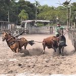 Leonardo Varela - @varela_lv - Instagram