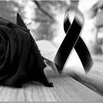 Leoncio Meza Bello - Facebook