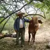 leoncio rojas - @leonciorojas10 - TikTok