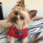 LeondreBrown - @leondrebr0wn - Instagram