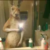 Leonel Alfaro - @leonel.alfaro54 - TikTok