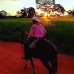 Leonel Camargo ferraz - @leonel_camargo_ferraz - Instagram