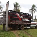 Leonel Oliveira Camargo - @leoneloliveiracamargo - Instagram
