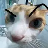Leonel Casas653 - @leonelcasas653 - TikTok