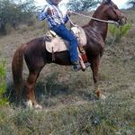 Leonel Cervantes - @cervantes.leonel - Instagram