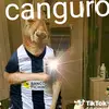 🍷🍷🍷🍷🍷 - @leonelcervantes68 - TikTok