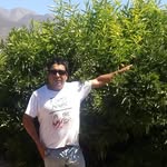 Leonel Cortes - @leonel.cortes.58958 - Instagram