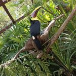 Negrito Espinoza - @leonel_espinoza_ruiz - Instagram