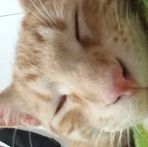 Leonel Jaramillo - Facebook