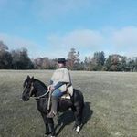leonel Jaramillo - @leito_jaramillo1 - Instagram