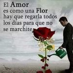 leonel marchan - @leonel.marchan - Instagram