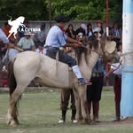 Leonel Marchant - @leonel_marchant09 - Instagram