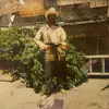 Leonel Marquez - @leonel.marquez857 - TikTok