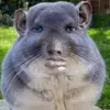 Sigma_grimace01eo - @leonelmuniz5 - TikTok