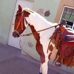 Leonel Olivas - @estradaolivas12345 - Instagram