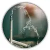 Leonel Pacheco - @leonel.pacheco76 - TikTok