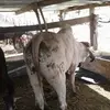 leonelpadilla301 - @leonelpadilla301 - TikTok