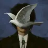 Leonel Rios - @leonel_amv - TikTok