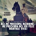 Leonel Rocha - @michoacano_mix - Instagram