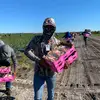Leonel Salazar - @leonelsalazar - TikTok