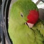 Leonel Serna - Facebook
