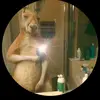 Leonel.silva - @appleuser2525846 - TikTok