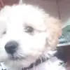 Leonel Tello - @leoneltello - TikTok
