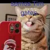 leoneltello041 - @leoneltello041 - TikTok