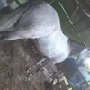 Leonel Valdes - @leonel.valdes79 - TikTok